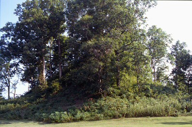 Pinson Mounds