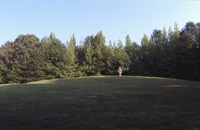 Pinson Mounds